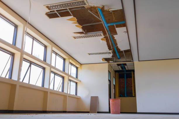 Trusted Ely, NV Water damage restoration Experts