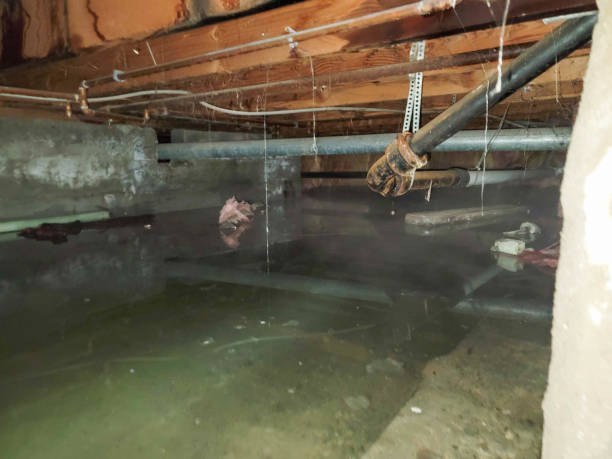 Local water damage restoration in Ely, NV