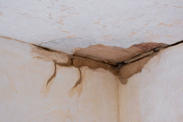 Trusted Ely, NV Water damage restoration Experts