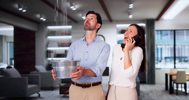 Best Water damage cleanup near me  in Ely, NV